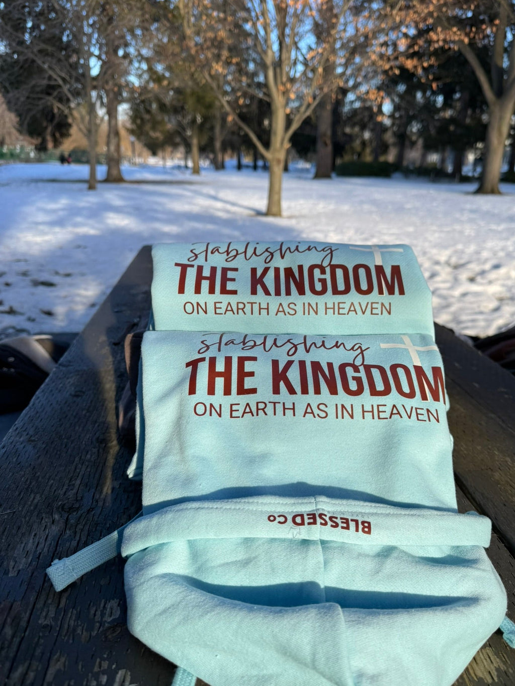Stablishing the Kingdom-Hoodie