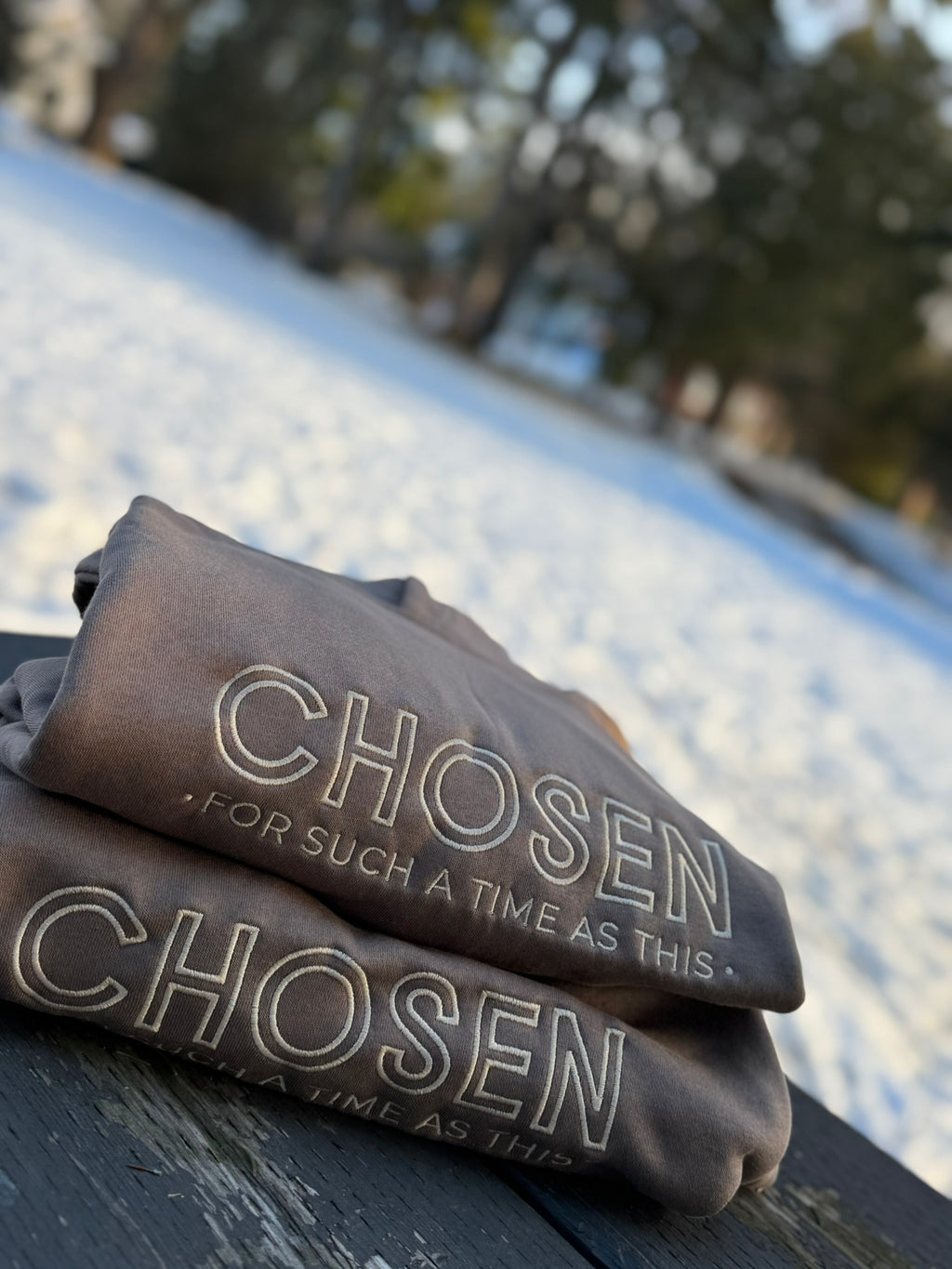 Chosen-Embroider Hoodie