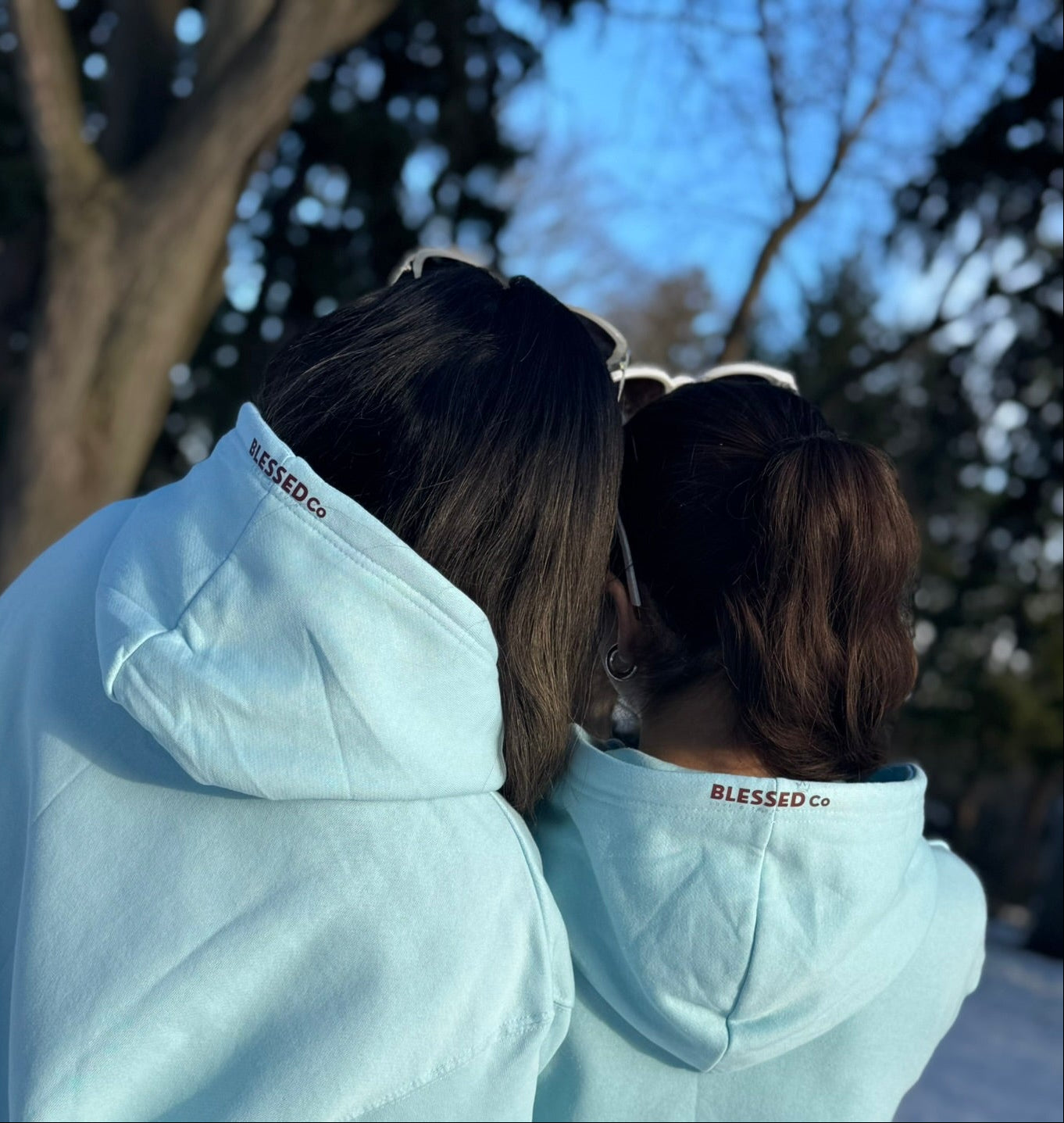 Stablishing the Kingdom-Hoodie